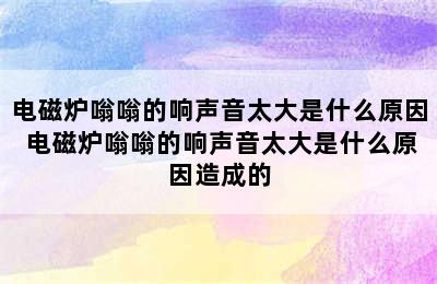 电磁炉嗡嗡的响声音太大是什么原因 电磁炉嗡嗡的响声音太大是什么原因造成的